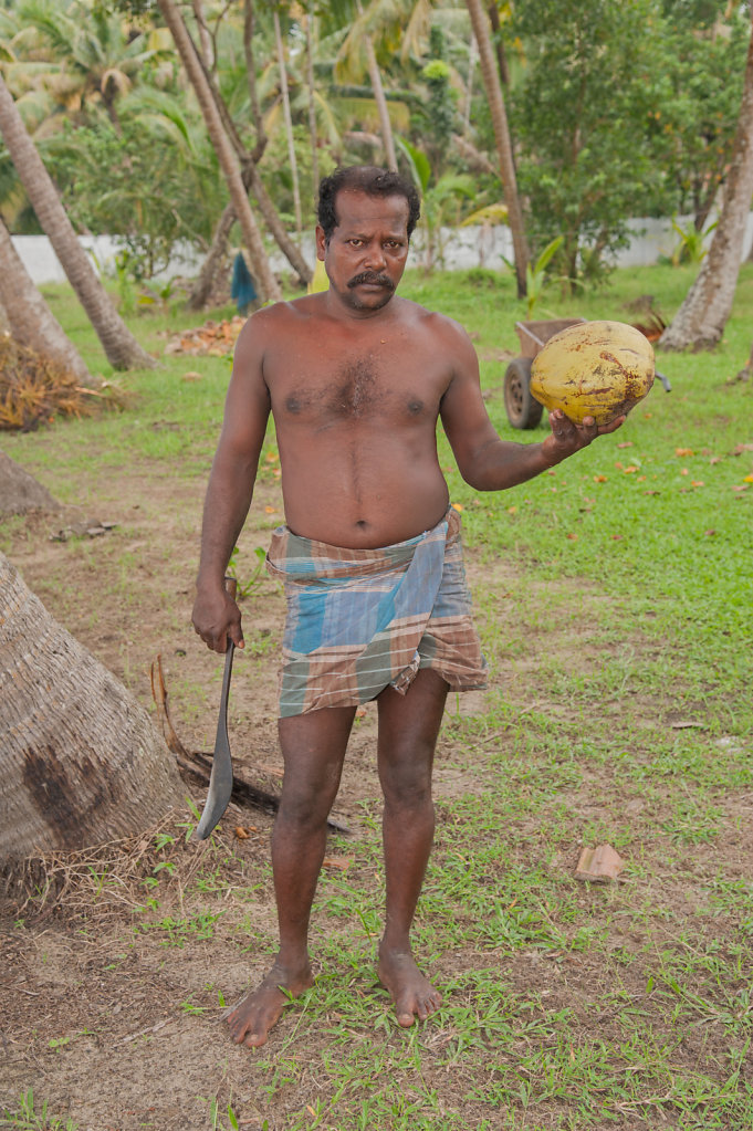 Coconut Collector