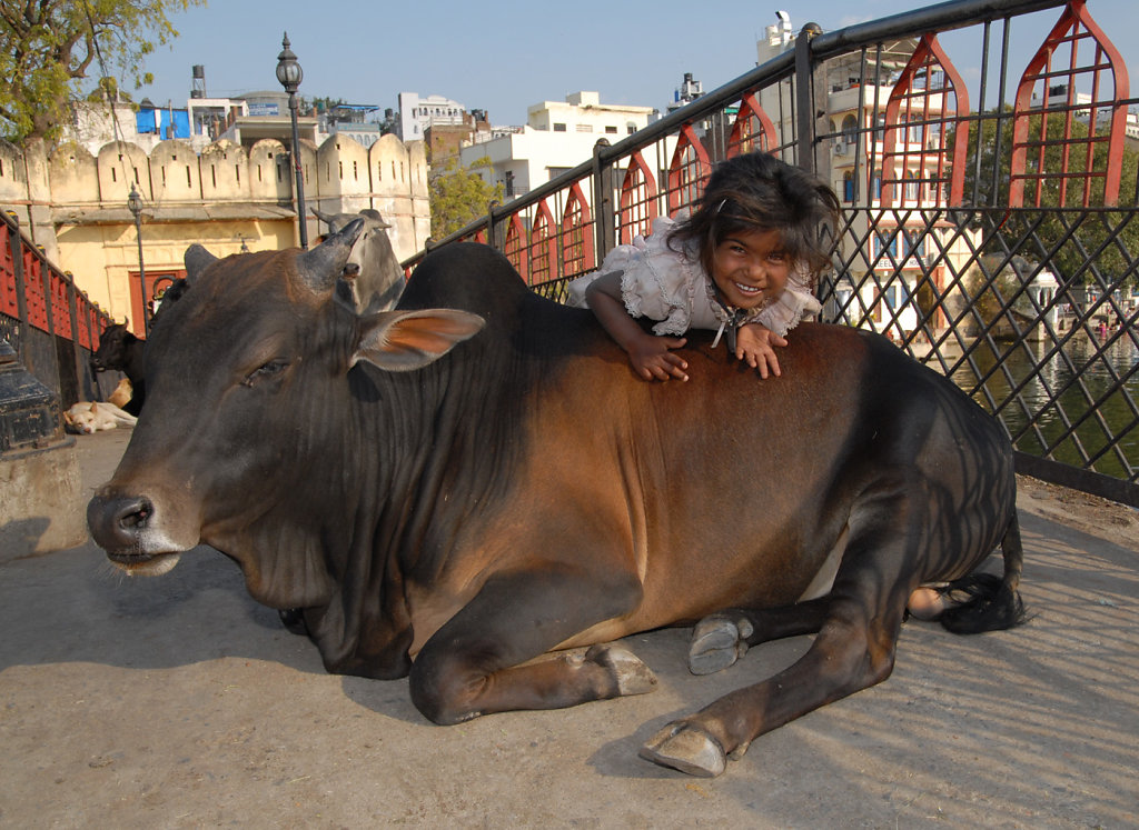 Gypsy Girl with Cow